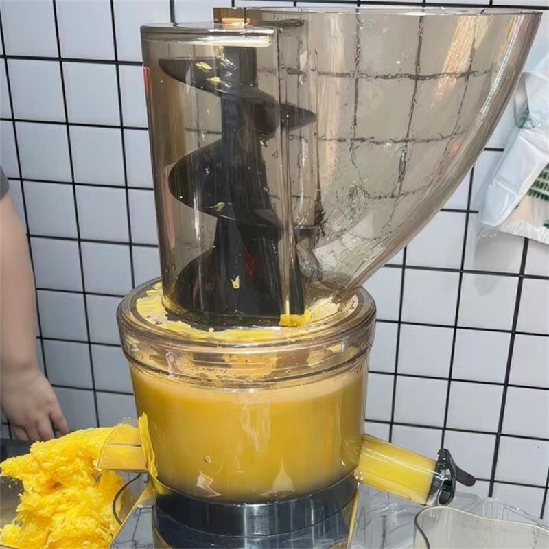 Extracteur de jus professionne - Juicer Cold Press Slow avis et prix