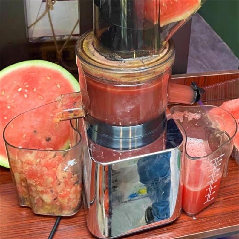 Extracteur de jus à masticatio - Juicer Cold Press Slow avis et prix